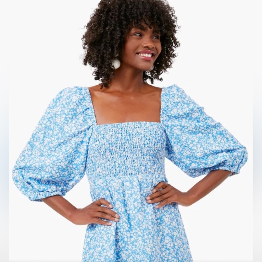 Tuckernuck x Cameran Eubanks Wimberly Blue‎ Floral Smocked Puff Sleeve Dress